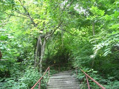 洛南旅游 059