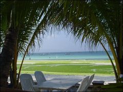 波拉克 波拉克
