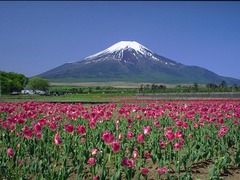 富士山 富士山8