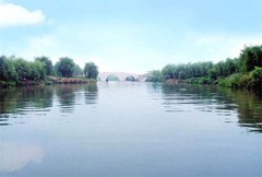 喜鹊湖图片