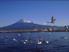 富士山 富士山48