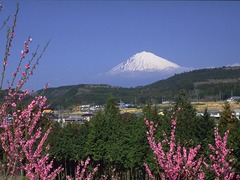 富士山 富士山57