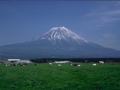 富士山 富士山12