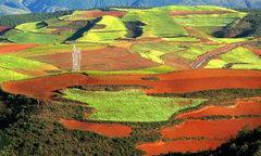 东川红土地图片