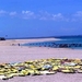 乐园 澎湖湾海上乐园 台湾 澎湖 澎湖湾海上乐园 乐园 澎湖湾海上乐园 台湾 澎湖 澎湖湾海上乐园