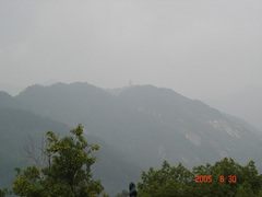 2005123009402450746