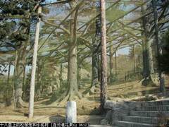 花果山景区图片