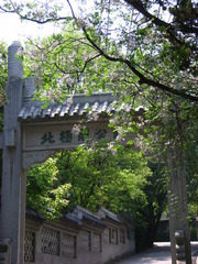 RIMG0077