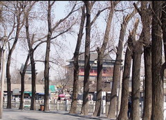 后海图片