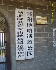青龙山恐龙蛋化石群图片