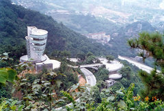 南山植物园图片