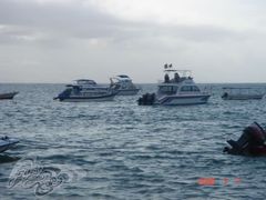 海龟岛 DSC02129_uO0JyOhobZdy[1]