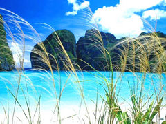 长滩岛 200711914450987[1]