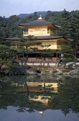 2006042511405794057[1]