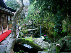 京都 401983193_4eef5ed40a[1]