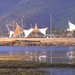 大梅沙