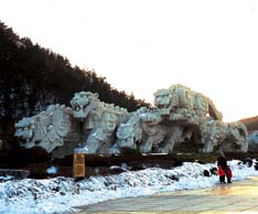 虎滩乐园图片