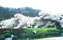 虎滩乐园图片