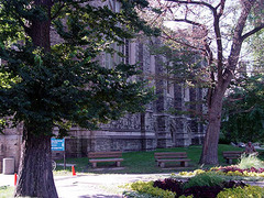 多伦多大学图片