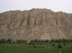 MAN5022084537734