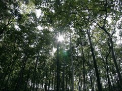 黔灵公园图片