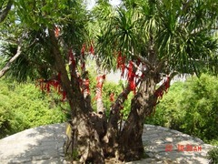 大小洞天照片第6张