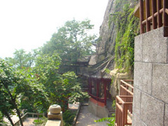 皇泽寺图片