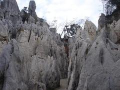200611179363749