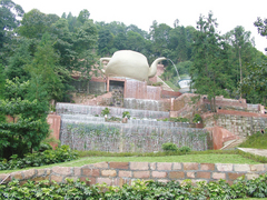 蒙顶山图片