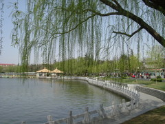 陶然亭图片
