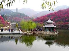 红叶谷生态文化旅游区图片