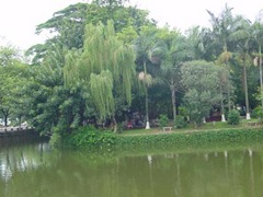 2007041111105958008