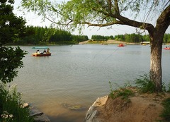 jerry_yao_1147019289