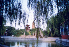 白马寺图片