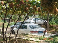 潘家峪惨案纪念馆图片