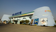 海洋之窗图片