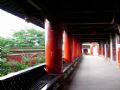 白塔寺图片
