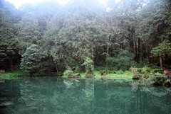 阿里山图片