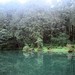 阿里山 阿里山 台湾 嘉义 030ab15d40eeaf88