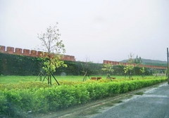 e5