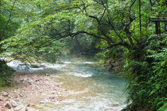 200871013154146584