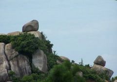 东山岭图片