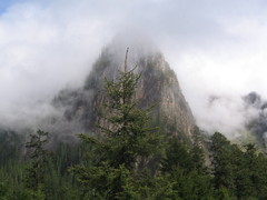 IMG_2011