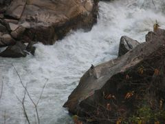 IMG_0032