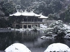 新宿御苑图片