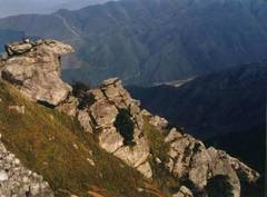 禾山图片