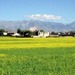 江孜县