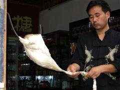 张家界图片