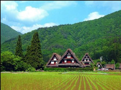 合掌部落图片