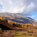 喀纳斯景区 新疆 阿勒泰 nEO_IMG_57806910007 喀纳斯景区 新疆 阿勒泰 nEO_IMG_57806910007